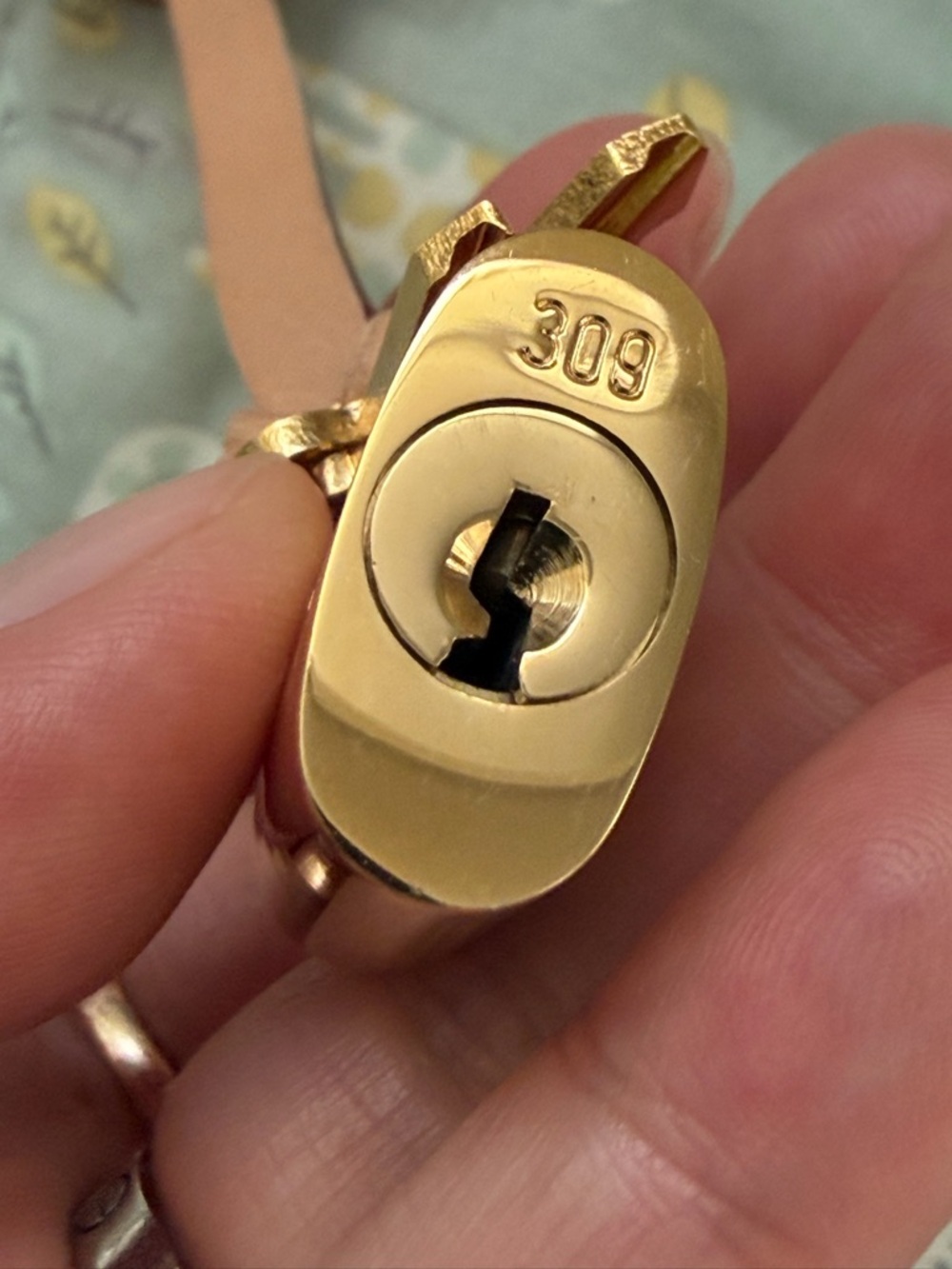 Louis Vuitton Lock and Keys (PRICE FIRM)
